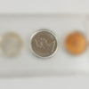 1867 / 1967 CANADIAN 6 Coin Centennial Wildlife Mint Set Silver